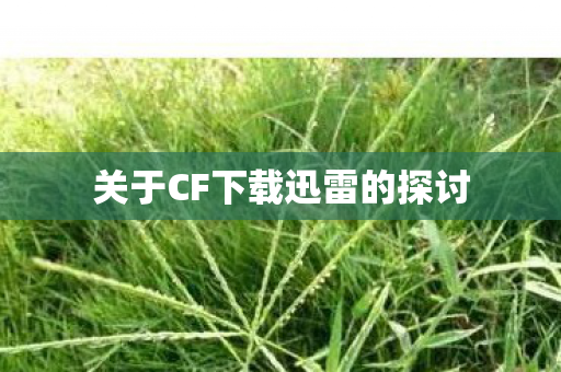 关于CF下载迅雷的探讨图片