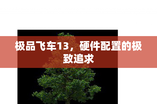 硬件配置的极致追求图片