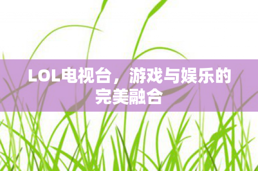 游戏与娱乐的完美融合图片
