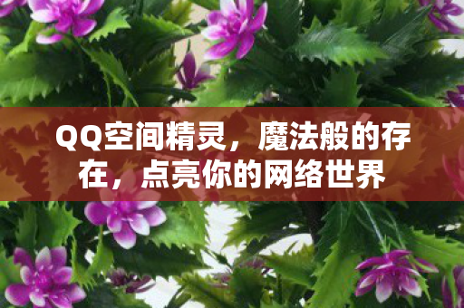 点亮你的网络世界图片