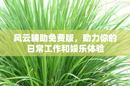 助力你的日常工作和娱乐体验图片