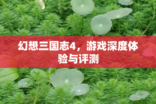 游戏深度体验与评测图片