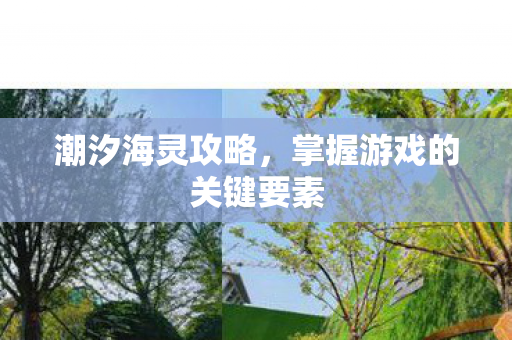 掌握游戏的关键要素图片