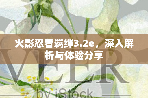 深入解析与体验分享图片