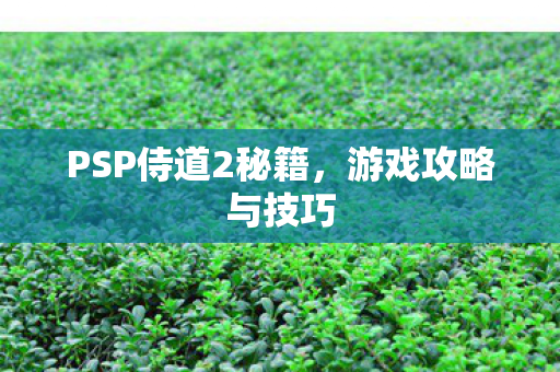 PSP侍道2秘籍图片