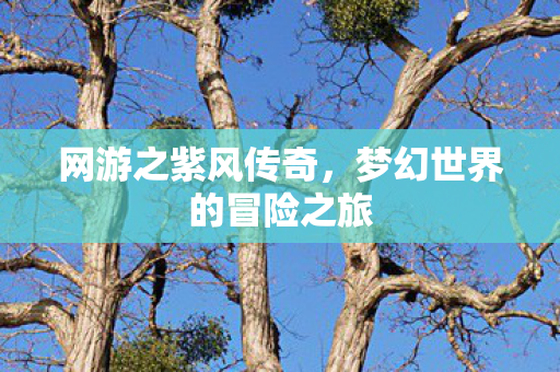 梦幻世界的冒险之旅图片