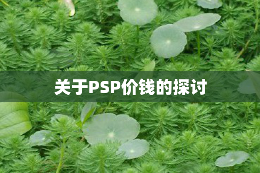 关于PSP价钱的探讨图片