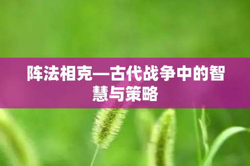 古代战争中的智慧与策略图片