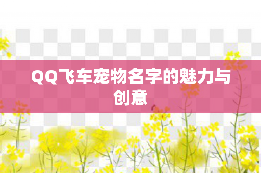 QQ飞车宠物名字的魅力与创意图片
