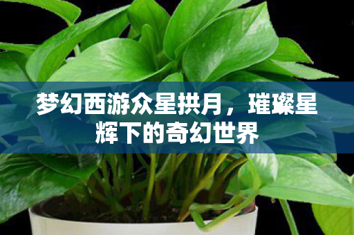 璀璨星辉下的奇幻世界图片