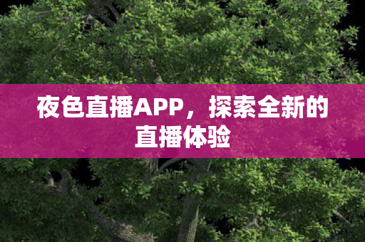 探索全新的直播体验图片