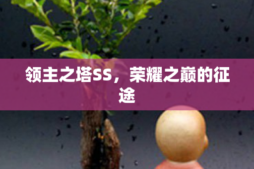 荣耀之巅的征途图片
