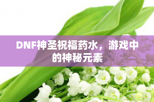 DNF神圣祝福药水图片