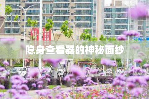 隐身查看器的神秘面纱图片