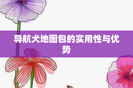 导航犬地图包的实用性与优势图片
