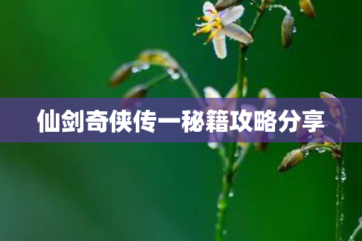 仙剑奇侠传一秘籍攻略分享图片