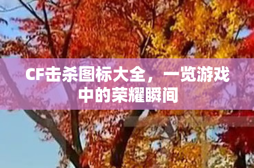 一览游戏中的荣耀瞬间图片