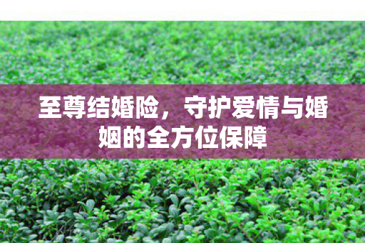 守护爱情与婚姻的全方位保障图片