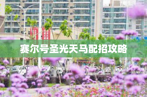 赛尔号圣光天马配招攻略图片