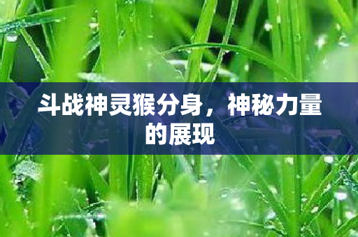 斗战神灵猴分身图片