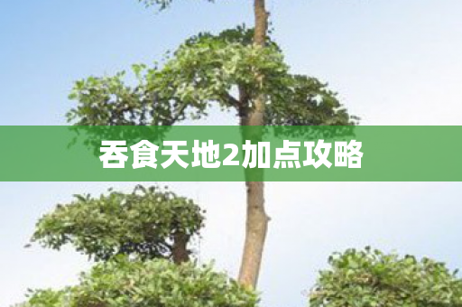 吞食天地2加点攻略图片