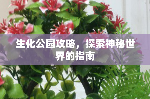 探索神秘世界的指南图片