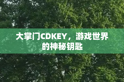 游戏世界的神秘钥匙图片