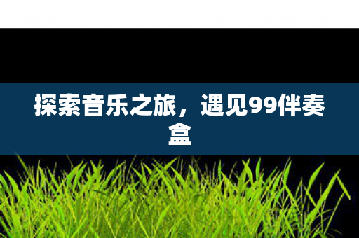 遇见99伴奏盒图片