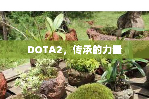 DOTA2图片
