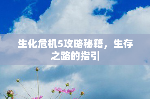 生化危机5攻略秘籍图片