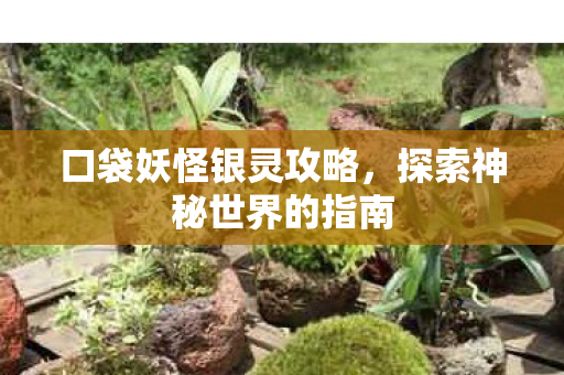 探索神秘世界的指南图片