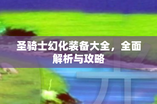 圣骑士幻化装备大全图片