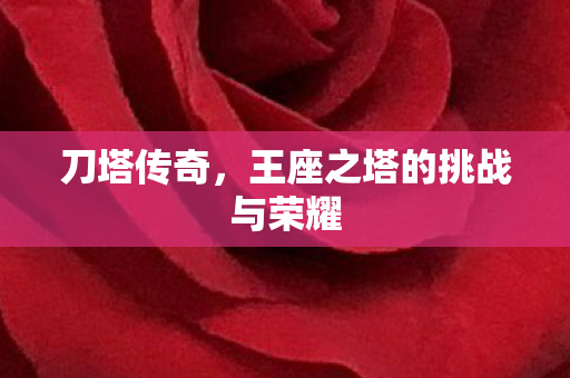 王座之塔的挑战与荣耀图片