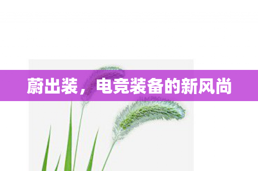 电竞装备的新风尚图片