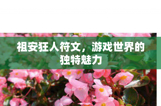 游戏世界的独特魅力图片