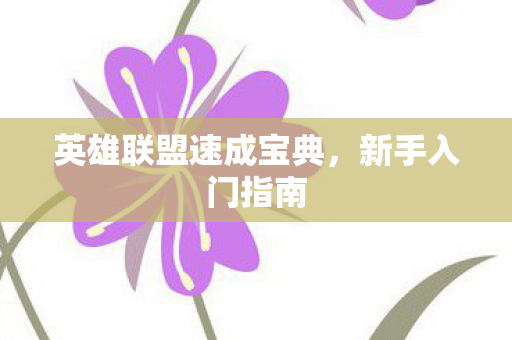 英雄联盟速成宝典图片