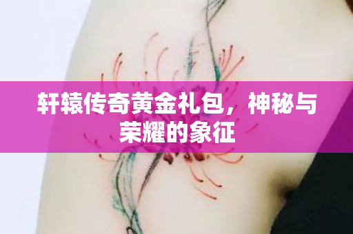 轩辕传奇黄金礼包,神秘与荣耀的象征 轩辕传奇黄金礼包,神秘与荣耀的象征
