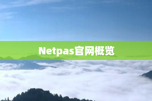 Netpas官网概览图片