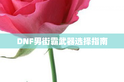 DNF男街霸武器选择指南图片