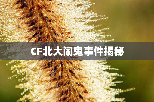 CF北大闹鬼事件揭秘图片