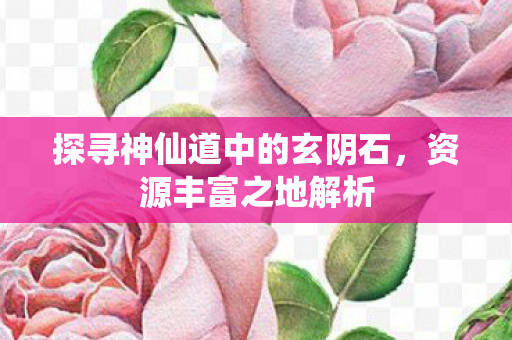 探寻神仙道中的玄阴石图片