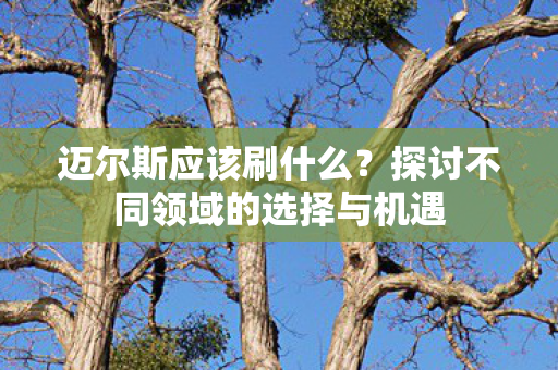 探讨不同领域的选择与机遇图片
