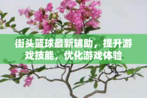 街头篮球最新辅助图片