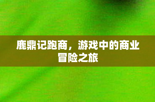 游戏中的商业冒险之旅图片