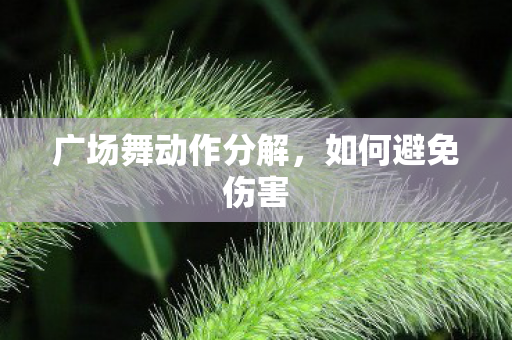 广场舞动作分解图片