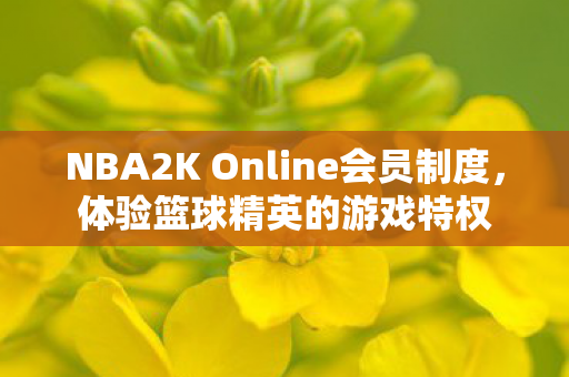 NBA2K Online会员制度图片