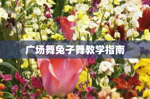 广场舞兔子舞教学指南图片