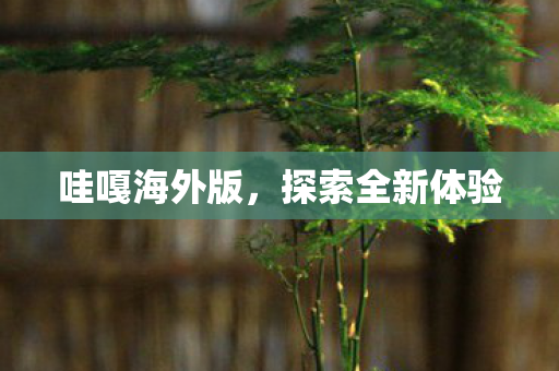 探索全新体验图片