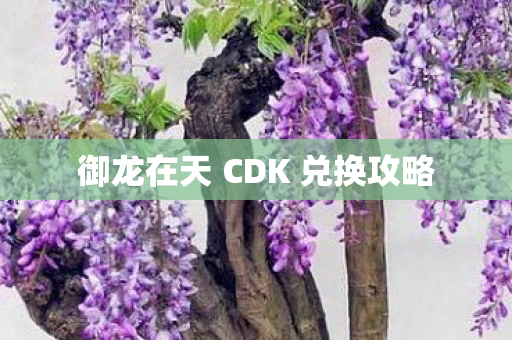 御龙在天 CDK 兑换攻略图片