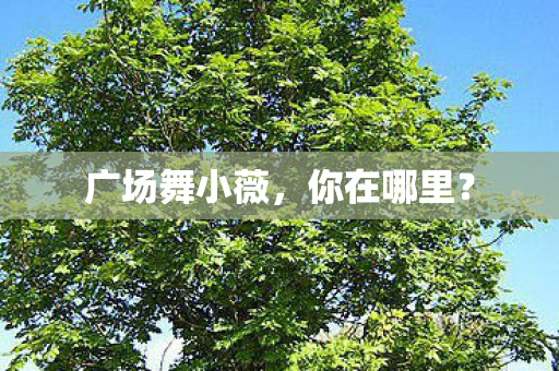 广场舞小薇图片